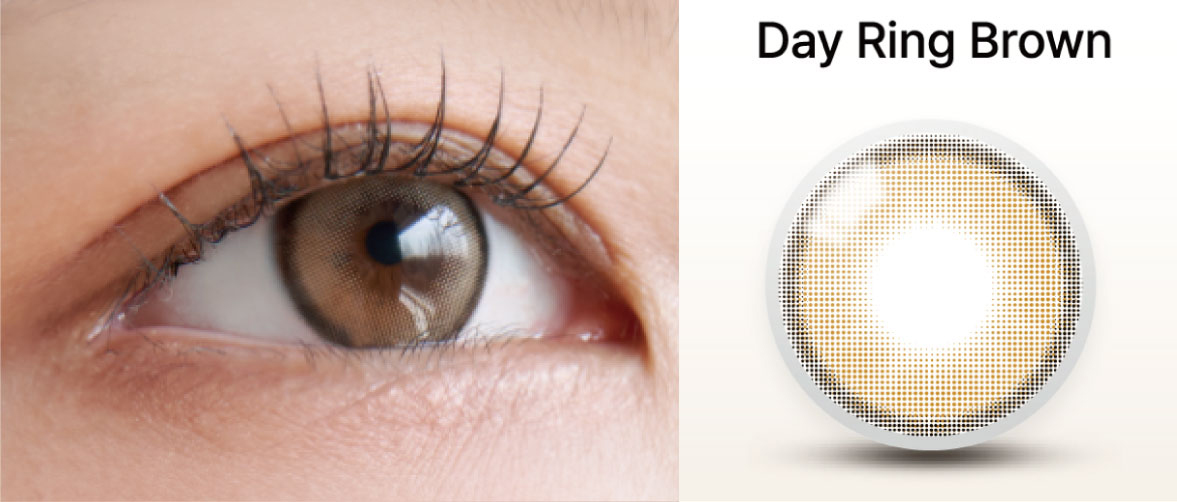 Day Ring 1Day (BROWN, GRAY) 产品图片